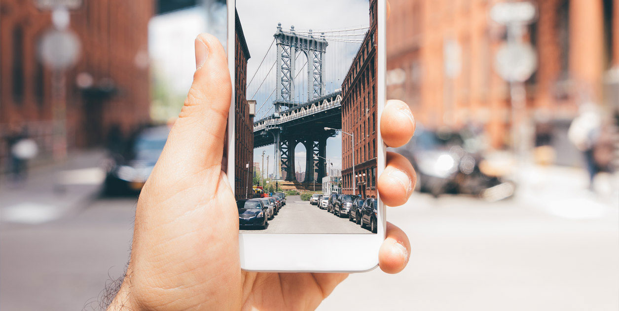 Humanities & Social Sciences