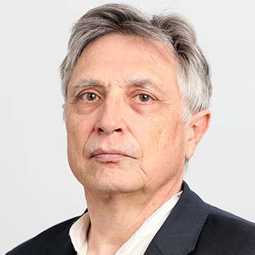 Professor Paul Giles, FAHA